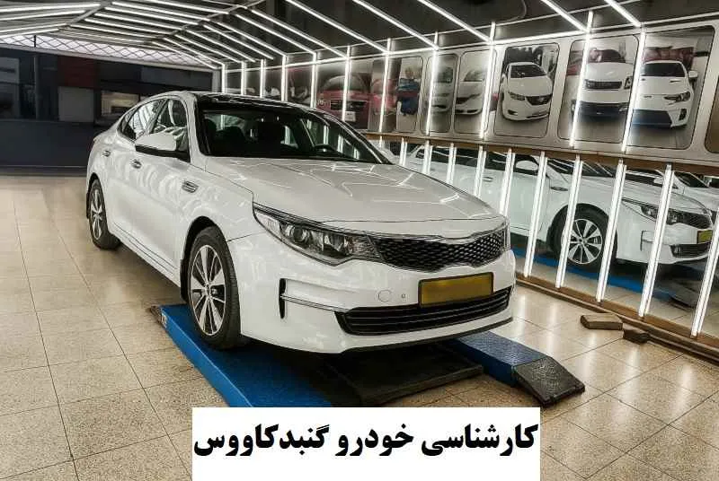 کارشناسی خودرو گنبد کاووس - بررسی رنگ شدگی اتومبیل